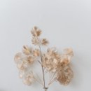 미적감각 이미지