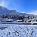 12/17(일)_하얀 겨울 최고의 트레킹 코스 설악산 백담사+수렴동 계곡 눈꽃 이미지