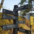 인왕산 주·야간 등산 후기 등린이도 오르는 등산코스