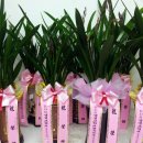 일흥꽃집 이미지