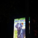 하늘이네 농장 이미지