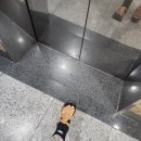 성모참플러스정형외과의원 이미지