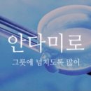 알로하 동물병원 네이버블로그