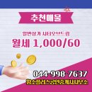 플러스공인중개사사무소 이미지