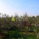 원천리농장 이미지