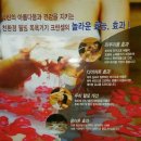 수년복싱 이미지