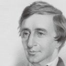 소로 소로 이미지