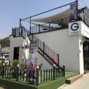 지마카롱 이미지