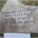 부산 울산 포항 서석 특별 애행-3(22.12.08-09) 이미지