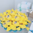 플랑(FLAN) 이미지