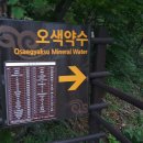속초항아리물회 이미지