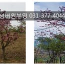 넘버원부영공인중개사사무소 이미지