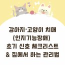 두류동물병원 네이버블로그