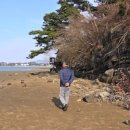 Q당구장 | 경남 사천 펜션 단체 모임 숙소로 딱 놀기 좋은 오션뷰 알베로펜션 후기