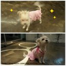 더안경원 이미지