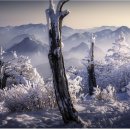 사진공원 - 사상구 사상로 208-1 | 사진공원