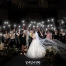 포레스트원 티스토리