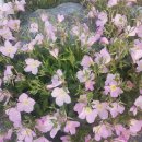 함양 행정사사무소 이미지