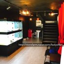 로열 퍼피샵 이미지