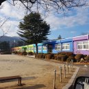 금광초교병설유치원 이미지
