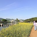 공설운동장 입구 4 | [전남 화순 봄꽃축제] 지금이 제일 예쁠 때🌸 주차·셔틀·분수시간 총정리 (+꽃강길 후기)
