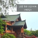 카페 온당 | 백온당 - 강릉 신상 한옥 카페 내돈내산 솔직후기