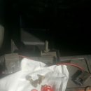 209자동차정비 이미지