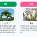 경주화랑고등학교