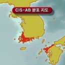 cis-AB 형 분포 지도 입니다. 이미지