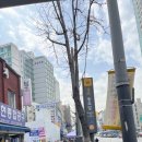 믿음사 | 동묘 필름카메라 황확동 &#39;믿음사&#39; 35호점 &#39;제일카메라&#39; ++ 필름카메라 사진