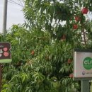 신광농장 이미지