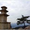천년의향기