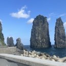 씨(Sea)게보는 포항 | 울릉도 3박 4일 여행, 포항에서 울릉도 배편 🚢 울릉크루즈 4인실 이용 후기