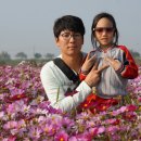 세종영재어린이집 이미지