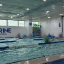 로얄마린 민락점 이미지