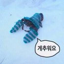 남한산성왕갈비 | 성인눈썰매장 안산썰매장 토요일 오후 방문 후기