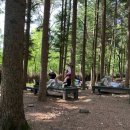 과천시치매안심센터 이미지