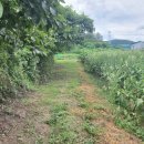 김행수농장 이미지