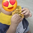 정싸롱수제간식 | 명절선물세트 은체리 수제 오란다로 온가족 만족 후기