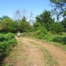 아우라 농장 이미지