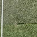 당진종합운동장 | 당진종합운동장 보조구장 유지관리 후기(#축구장관리 #축구장유지관리 #축구장보수)