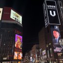 스스키노 - 강남구 논현로149길 64 | 스스키노