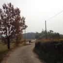 용흥사진입로 Daum카페