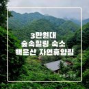 꿈자람물정원 | [원주 숙소]숲속 힐링숙소 국립백운산자연휴양림 후기 2탄!