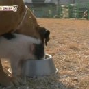 민지 농장 이미지