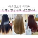 마카다미용실 | 믿고 쓰는 맥주효모 샴푸, 클리닉 트리트먼트, 향 좋은 헤어에센스와 컬크림 ft. 성분 좋은 코츠비 'n병템'