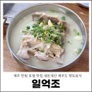 일억조식당 | 제주 한림 로컬 맛집 내돈내산 일억조