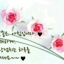 더어 이미지