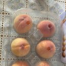 밤비네일 - 부평구 광장로 16 | 복숭아집 밤비네 (내돈내산 솔직후기)