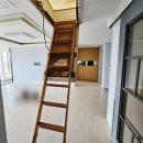 세란성심의원 이미지